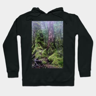 Enchanted Forest 3 Hoodie